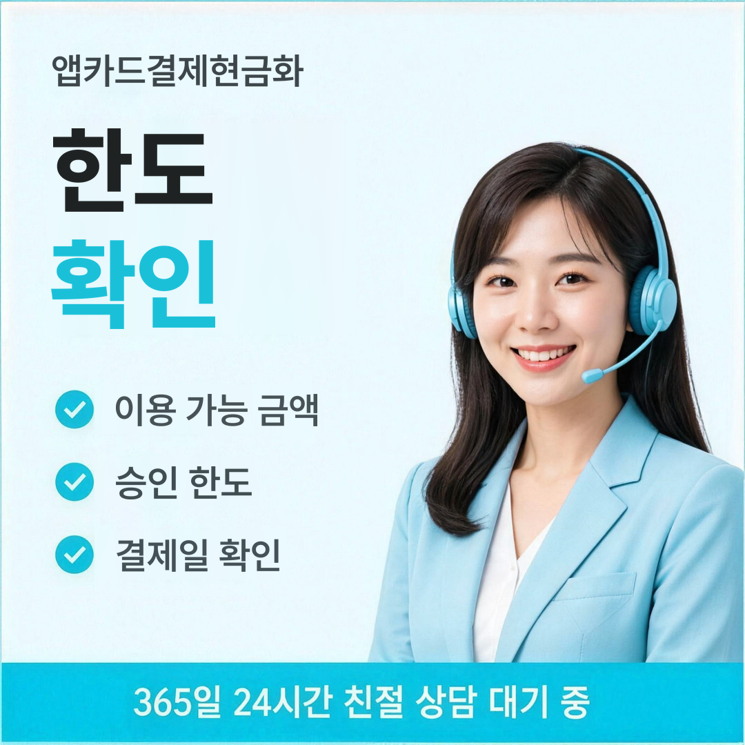 다음머니 앱카드결제현금화 한도 확인 안내
